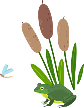Graphic of a frog and dragonfly.