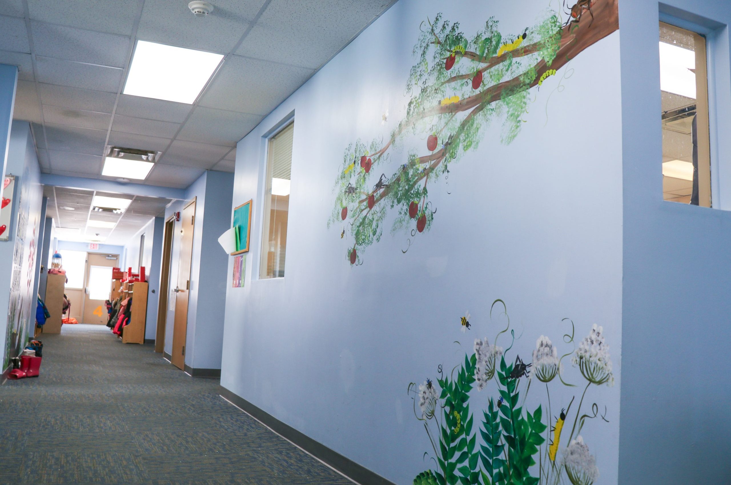 A hallway view at our Hasson Heights CDC that shows the hand painted plant and insect murals on the walls and wooden cubbies full of tiny coats.
